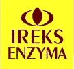 logo IREX-ENZYMA